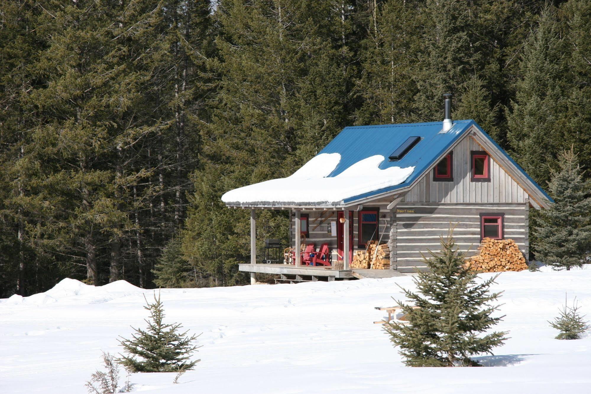 Nipika Mountain Resort Рейдиум-Хот-Спрингс Экстерьер фото
